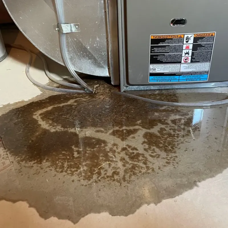 Pipe Burst and Leak Restoration in Ambler, PA